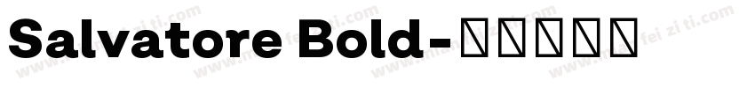 Salvatore Bold字体转换
